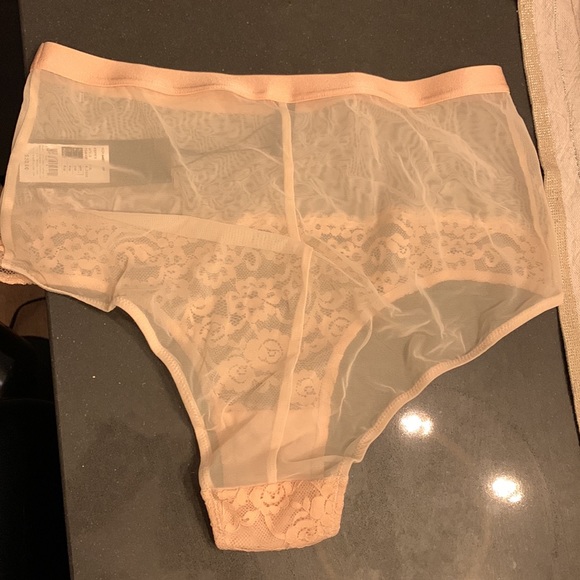 NWT lace mesh lingerie bottom - Picture 2 of 3